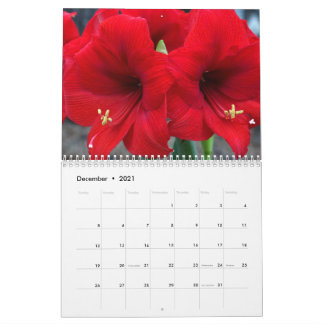2021 van Lin's Garden Calendar Kalender
