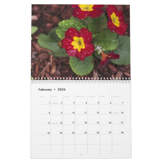 2021 van Lin's Garden Calendar Kalender (Feb 2026)