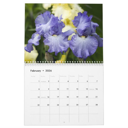 2021 Voor de liefde van Iris Kalender (Feb 2026)