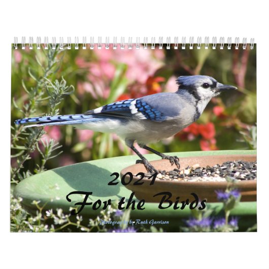 2021 voor vogels kalender (Hoes)