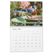 2021 voor vogels kalender (Jan 2027)