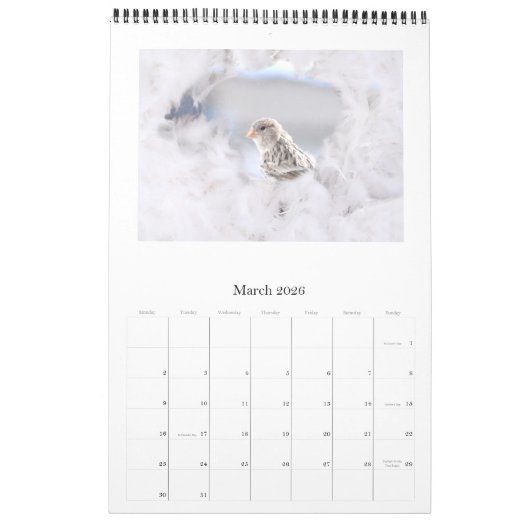 2021 Wall Calendar vogeltjes Canary Wharf, London Kalender (Mar 2026)