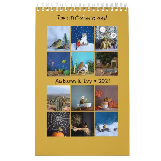 2021 Wall Calendar vogeltjes Canary Wharf, London Kalender (Hoes)