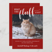 2021 Wat de foto van de Fluff Funny Pet Cat Feestdagenkaart (Voorkant / Achterkant)