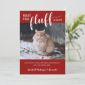 2021 Wat de foto van de Fluff Funny Pet Cat Feestdagenkaart (Staand voorkant)