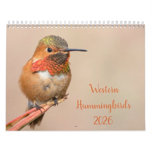 2021 Westerne Hummingvogels Fotografie Kalender (Hoes)