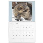 2021 Wild Blue Yonder-bekkens Kalender (Feb 2027)