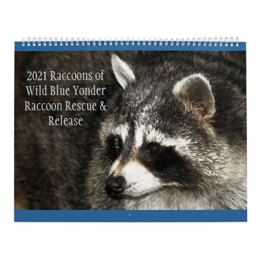 2021 Wild Blue Yonder-bekkens Kalender (Hoes)
