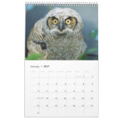2021 Wildlife Treasures Muur Kalender (Jan 2027)