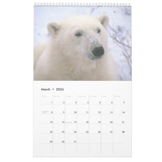 2021 Wildlife Treasures Muur Kalender (Mar 2026)