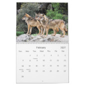 2021 Wolven 2 Wildlife Fotografie Kalender (Feb 2027)