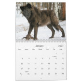 2021 Wolven 2 Wildlife Fotografie Kalender (Jan 2027)