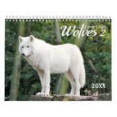 2021 Wolven 2 Wildlife Fotografie Kalender (Hoes)