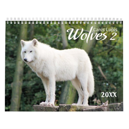 2021 Wolven 2 Wildlife Fotografie Kalender (Hoes)