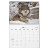 2021 Wolven Wildlife Kalender (Mar 2027)