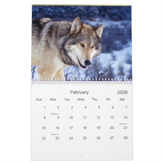 2021 Wolven Wildlife Kalender (Feb 2026)