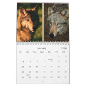 2021 Wolven Wildlife Kalender (Jan 2026)
