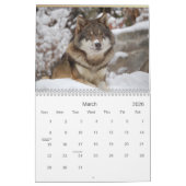 2021 Wolven Wildlife Kalender (Mar 2026)