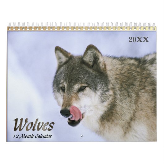 2021 Wolven Wildlife Kalender (Hoes)