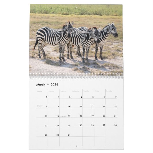 2021 Zebra Liefdeskalender Kalender (Mar 2026)