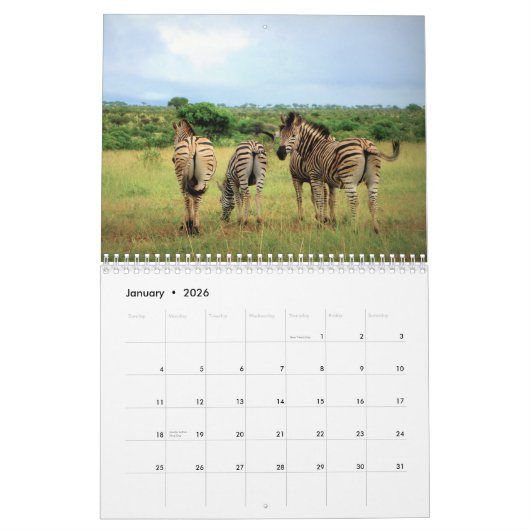 2021 Zebra Liefdeskalender Kalender (Jan 2026)