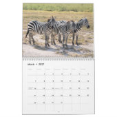 2021 Zebra Liefdeskalender Kalender (Mar 2027)