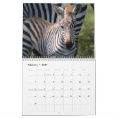 2021 Zebra Liefdeskalender Kalender (Feb 2027)
