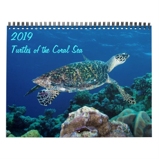 2021 Zee Koudschildpadden van het koraal Zee Kalender (Hoes)