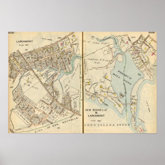 202203 Larchmont, New Rochelle Poster (Voorkant)