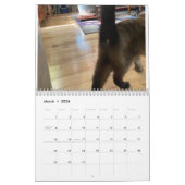 20222 Kat Butt Calendar Kalender (Mar 2026)