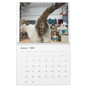 20222 Kat Butt Calendar Kalender