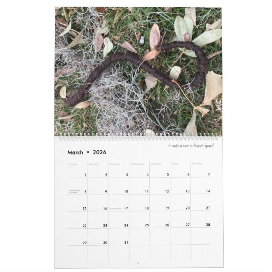 2022 11x14 Savannah Tumbleweves Agenda Kalender (Mar 2026)