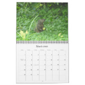 2022 12-maandelijkse Groundhog-fotokalender voor d Kalender (Mar 2026)