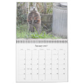 2022 12-maandelijkse Groundhog-fotokalender voor d Kalender (Jan 2027)