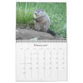 2022 12-maandelijkse Groundhog-fotokalender voor d Kalender (Feb 2027)