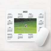2022 Ball-spelenderfotokalender van Janz Muismat (Met muis)
