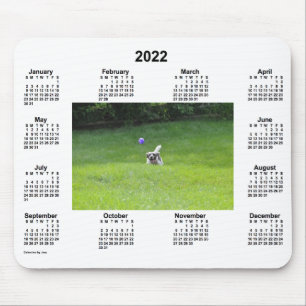 2022 Ball-spelenderfotokalender van Janz Muismat