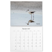 2022 Birding in Florida Calendar Kalender (Jan 2027)