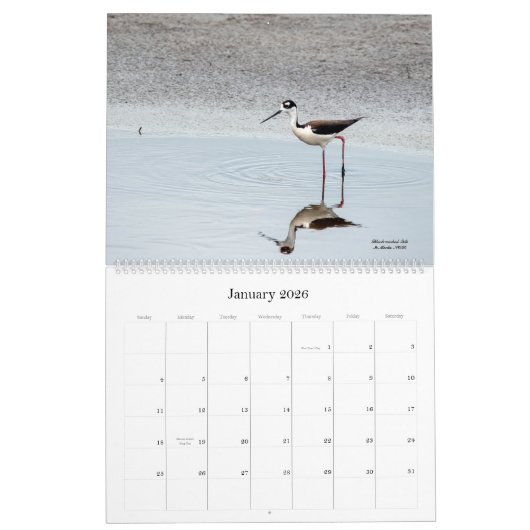 2022 Birding in Florida Calendar Kalender (Jan 2026)