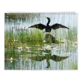 2022 Birding in Florida Calendar Kalender (Hoes)