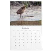 2022 Birding in Florida Calendar Kalender (Mar 2026)