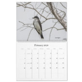 2022 Birding in Florida Calendar Kalender (Feb 2026)