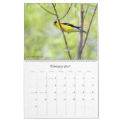 2022 Birding in South Carolina Agenda Kalender (Feb 2027)