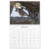 2022 Birding in South Carolina Agenda Kalender (Mar 2027)