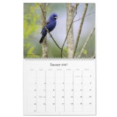 2022 Birding in South Carolina Agenda Kalender (Jan 2027)