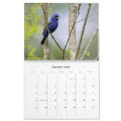 2022 Birding in South Carolina Agenda Kalender (Jan 2026)