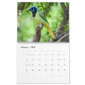 2022 Birds of North America Calendar Kalender (Feb 2026)