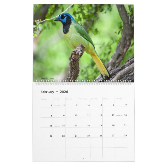 2022 Birds of North America Calendar Kalender (Feb 2026)