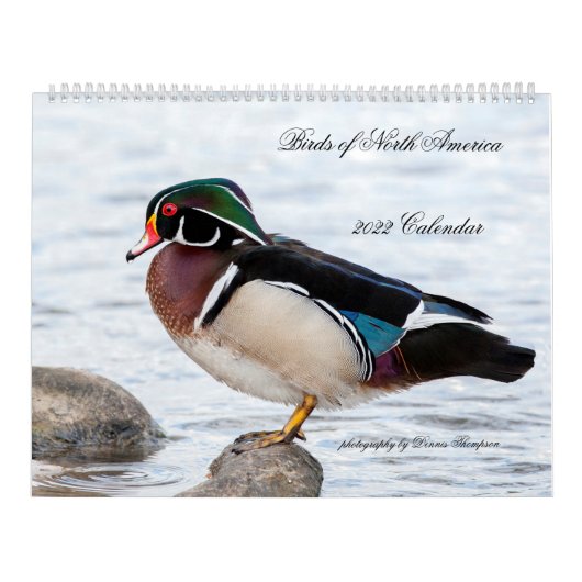 2022 Birds of North America Calendar Kalender (Hoes)