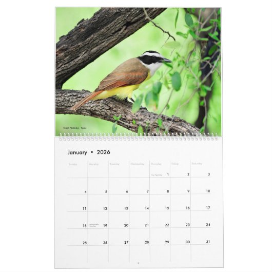 2022 Birds of North America Calendar Kalender (Jan 2026)